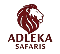 adleka icon2